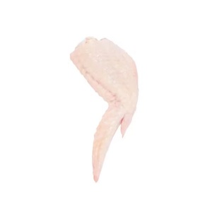 Achetez Frozen 2 Joint Wing de qualité supérieure, livraison rapide, obtenez le vôtre maintenant pour une expérience de collection incroyable - Product Image 2