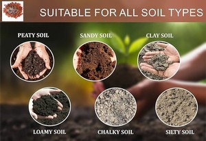 Fertilizante Multiusos Orgánico en Polvo de Karanja para Suelo y Cultivos - Marca Terra Bio Naturals, Fabricante y Exportador de Tamil Nadu - Product Image 5
