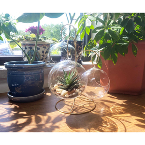 New Designs Glass & Metal Geometric Terrariums Table Centerpiece Indoor Dry Outdoor Planter For Home Hotel Table Top Decorative - Product Image 6