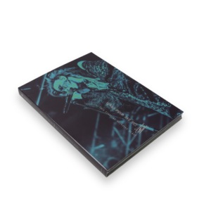 Soluciones profesionales de embalaje personalizado para DVD, películas, Digipak, álbumes de música, sets de caja y proyectos de regalos promocionales - Product Image 5