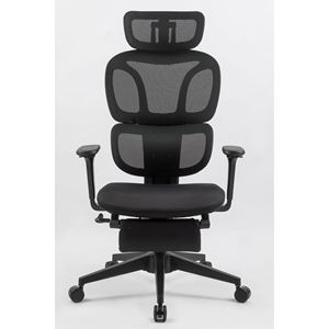 Sedia da Ufficio Ergonomica con Schienale Alto, Supporto Lombare Dinamico, Poggiatesta 2D, Braccioli 4D, Poggiapiedi, Comoda Sedia da Computer - Product Image 5