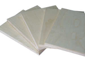 Panneaux de contreplaqué de bouleau de première qualité FOMEX GREENWOOD avec émission de formaldéhyde E1 pour meubles d'intérieur modernes - Product Image 1