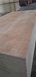 Contreplaqué Okoume de qualité supérieure pour usage commercial - Product Image 3