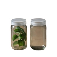 Bouteille de culture de tissu de verre autoclavable de haute qualité 250ml 370ml 400ml avec bouchon à vis respirant en polypropylène