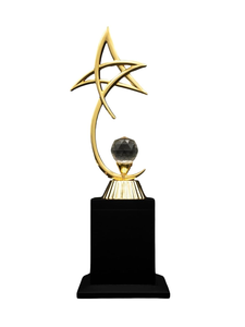 Apex World Exports - Globo Terráqueo Portátil Personalizado con Base de Madera y Cuerpo de Metal Moderno, Trofeo Corporativo de Cristal para Liderazgo y Servicio Empresarial - Product Image 3