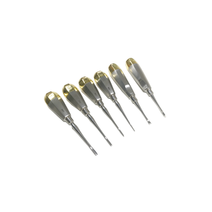Kit de Instrumentos Dentales Veterinarios de Alta Calidad para Perros y Gatos con Caja - Product Image 4