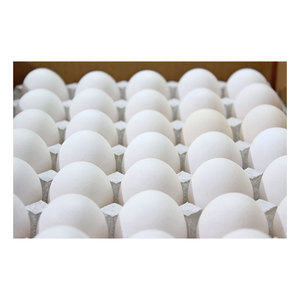 Splendid Sales, Productos Animales Japoneses de Calidad Prestigiosa y Amplia Variedad, Huevos de Gallina Frescos de Granja - Product Image 5