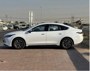 BYD Destroyer 05 2025 - Product Image 2