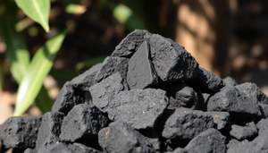 Briquettes de charbon de noix de coco pour l'industrie chimique - Product Image 5