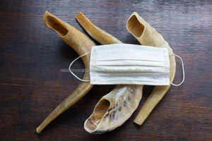 Sobresaliente Kosher Kudu Shofar de Israel Clásico Medio Pulido Cuerno Tallado Ángel Estilo Religioso - Product Image 3