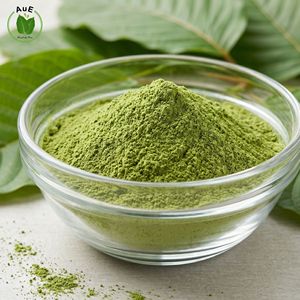 Poudre de feuilles d'herbes thaïlandaises MIT, pureté 1,5%, 120 Mesh, séchée à l'air chaud, emballée sous vide, incontournable, préférée des clients AuE, pour la santé - Product Image 3