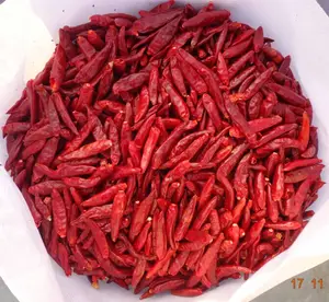 BEST PRICE CHILI FROZEN/ HOT VIETNAM CHILI AT CHEAP PRICE AND NEW HARVEST IN VIETNAM