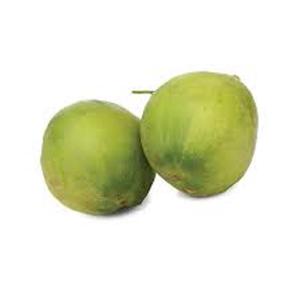 Cocos Verdes Jóvenes de Alta Calidad, Nueva Cosecha - Product Image 4