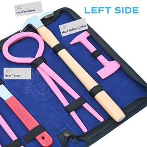 Kit de sablage de sabots robuste pour fermeurs avec marteau à sabots, testeur de douleur au sabot, cisaille à sabots de 14 pouces, polisseuse et couteau à sabots à extrémité en laiton - Product Image 3