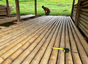 Strong <b>Bamboo</b> Poles Supplier in Vietnam for Outdoor Structures - Product Image 5