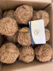 Bola de cáscara de coco duradera, juguete no tóxico para masticar perros con bola de Coco para entretenimiento seguro para mascotas - Product Image 3