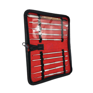 Kit de 10 Herramientas de Limpieza Dental Reutilizables de Acero Inoxidable de Alta Calidad de ROBOZ TECH - Product Image 2