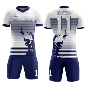 Ensemble de maillots de football personnalisés, tenue d'équipe de football, uniforme de sport à séchage rapide, logo personnalisé, fournisseur OEM en gros - Product Image 1