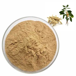 Extrait d'Ashwagandha en vrac 10:1 en poudre, 100% pur et naturel, poudre de racine de Withania Somnifera pour le soulagement du stress et le soutien énergétique - Product Image 4