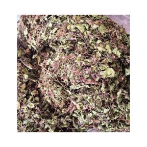 ELDERLY FAVORITE DRIED PENNY WORT <b>TEA</b> HERBS VIETNAM BEST SELLING SLIM AND SKIN BOOST CENTELLA ASIATICA LEAVES WHOLESALE GLOBALLY - Product Image 4