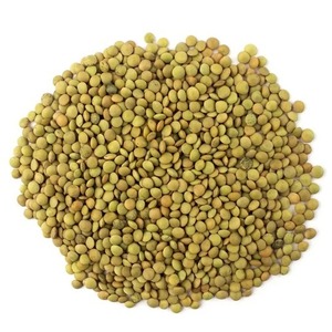 Lentilles vertes de haute qualité, lentilles séchées soigneusement sélectionnées pour l'emballage de détail et l'industrie alimentaire, service OEM - Product Image 3