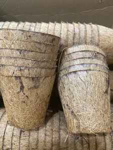 Maceta de cáscara de coco reutilizable de Coir Pot diseñada para ventilación de raíces y aplicaciones de plantación orgánica de Vietnam - Product Image 6