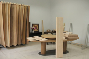 Panneaux modernes pour dessus d'armoire en contreplaqué de bois de manguier, autres pièces de meubles, noyau MDF du Vietnam, placage, surface lisse et durable - Product Image 2