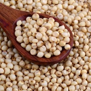 Sorgo Blanco Seco Orgánico Natural Dulce de Alta Calidad y Altamente Nutritivo de Austria, Grado Alimenticio, Precio de Fábrica - Product Image 4