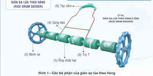 High Efficiency Hand Push Rice Seeder – Save Seeds, Increase Yield, Easy Operation Paddy <b>Planter</b> - Product Image 5