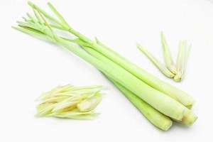 Citronnelle IQF de qualité export – Couleur verte fraîche, usine certifiée HACCP - Product Image 2