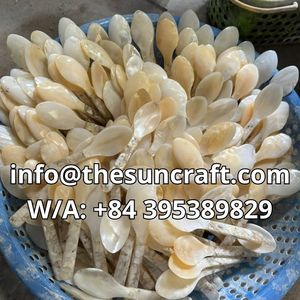 Cuillère en nacre personnalisable avec logo, design classique blanc exquis, pour café, dessert, caviar, vente en gros - Product Image 5