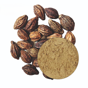 Poudre de Haritaki en vrac à mailles fines, qualité supérieure, 100 % naturelle, de qualité alimentaire, poudre de Terminalia Chebula, fournisseur en gros d'Inde - Product Image 5