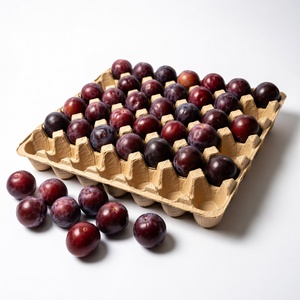 ถาดผลไม้แบบย่อยสลายได้ ป้องกันการแตกหัก เป็นมิตรต่อสิ่งแวดล้อม ผลิตจากเยื่อกระดาษขึ้นรูป สำหรับผลไม้สด จากผู้ผลิตในเวียดนาม กล่องกระดาษ - Product Image 3