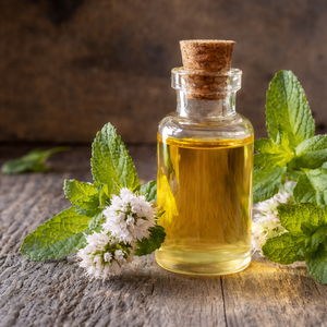 PREMIUM QUALITY PEPPERMINT OIL / ORGANIC NATURAL ESSENTIAL OIL FOR SPA AND PERSONAL CARE PRODUCTS/ MS. ALINA - Product Image 5