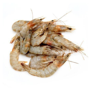 กุ้งแช่แข็งสดขายส่ง กุ้งแวนนาไมแช่แข็งทั้งตัว คุณภาพดีที่สุด - Product Image 1