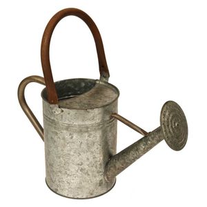 Arrosoir vintage en métal galvanisé avec poignée en bois, style rustique, pour jardin, plantes, usage intensif, intérieur/extérieur - Product Image 1