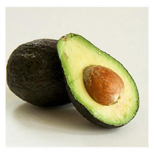 Aguacate Fresco para Exportación con el Mejor Precio, Estándar Alto, Fruta Tropical Nueva - Product Image 1
