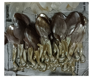 Cuillère élégante en coquillage avec manche en porcelaine, fournisseur Vietnamien - Cuillère artisanale pour la décoration de table - Product Image 2