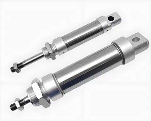 Mini-cylindre pneumatique en acier inoxydable DSNU20X25/50/75/100MM à double action avec pare-chocs en caoutchouc pour équipement d'automatisation - Product Image 1