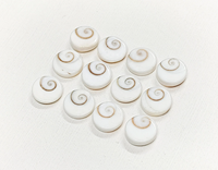 Cabochons en coquille d'œil de Shiva de qualité supérieure, taille brillante, pierre précieuse naturelle, 10 mm, cristal de guérison, 5 pièces, trou de 0,40 mm, pour la fabrication de bijoux
