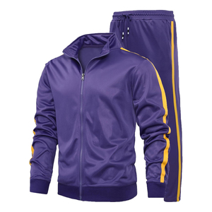 Conjunto Deportivo para Hombre, Color Morado, Manga Larga, Cierre de Cremallera, Cuello Alto, Color Sólido, Pantalones Deportivos, Secado Rápido, Corte Regular, Otoño - Product Image 1