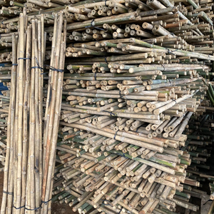 Poteau en bambou naturel durable, matériau du Vietnam, pour la construction, la conception de meubles, le support structurel et la décoration de jardin - Product Image 1