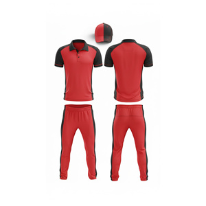 Uniforme de cricket en sublimation directe d'usine |   Tenue complète d'équipe de cricket pour hommes, femmes et jeunes : polo et pantalon - Product Image 2