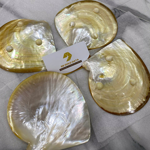 จานเปลือกหอยมุกขัดเงา ถาดเปลือกหอยธรรมชาติ จานใส่ไข่ปลาคาเวียร์ งานฝีมือทำมือ ของขวัญสุดหรู ขายส่ง ส่งออก - Product Image 1