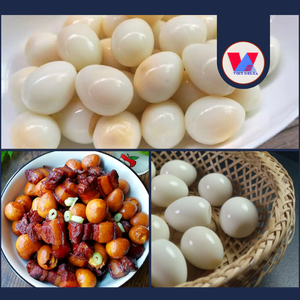 AVAILABLE Sustainable 425g Farm Fresh Canned Quail <b>Eggs</b> in Brine Tinned Peeled Quail <b>Egg</b> Fast Prepare for Hotpot Soup Toppings - Product Image 3