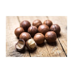 แมคคาเดเมียออร์แกนิคแบบดิบ ขายดี มีทั้งแบบมีเปลือกและแบบแกะเปลือก แมคคาเดเมียดิบในเปลือก - Product Image 3