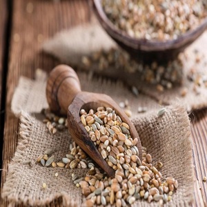 Farine d'orge préparée pour la vente en gros avec des prix de gros compétitifs - Product Image 3