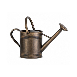 Metal Watering Can Custom Finish Water Can Easy Pour Watering <b>Cane</b> Perfect for Home & <b>Garden</b> - Product Image 1