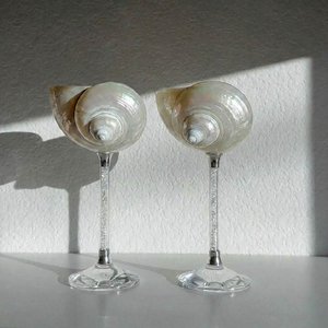 Copa de cóctel pequeña de concha marina, artesanía en cristal, copas de vino de concha marina, decoración única con temática oceánica - Product Image 4