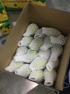 Mango fresco de Vietnam suministrado en grandes cantidades para compradores mayoristas, ideal para cadenas minoristas y distribuidores de alimentos - Product Image 2